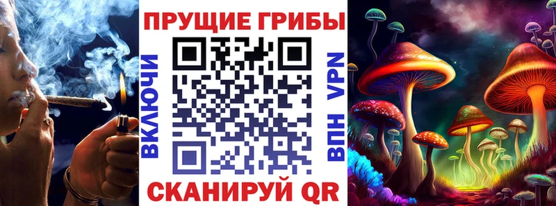 Псилоцибиновые грибы Psilocybine cubensis Давлеканово